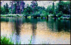 DSC_4426.jpg