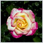 DSC_4348.jpg