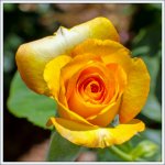 DSC_4355.jpg
