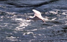DSC_3844.jpg