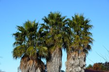 DSC_3154.jpg