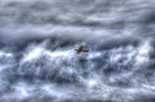 DSC_4010_3.jpg