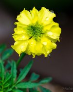 Day199-3.jpg