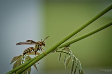 Day200-5.jpg