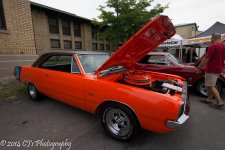 DSC_0176.jpg