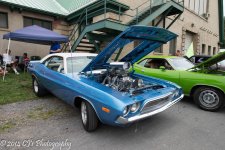 DSC_0181.jpg