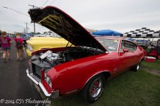 DSC_0206-2.jpg