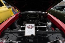 DSC_0207-2.jpg