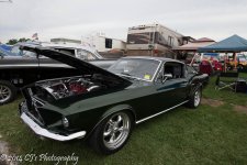 DSC_0208-2.jpg