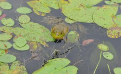 DSC_0114.jpg