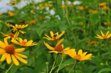 DSC_0122.jpg