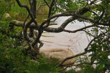 DSC_0077.jpg