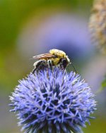 DSC_0341.jpg