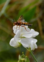 DSC_0324.jpg
