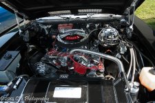 DSC_0221.jpg
