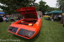 DSC_0224-2.jpg