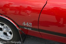 DSC_0226.jpg