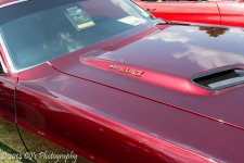 DSC_0237.jpg