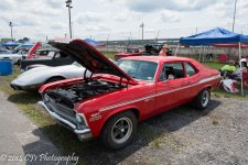 DSC_0246.jpg