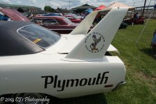 DSC_0252.jpg