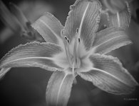 _AAA2900 - Version 3 - 2014-06-21 at 16-40-13.jpg