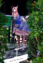 Horse LOL.jpg