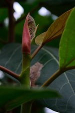 DSC_8039.jpg