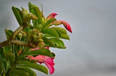 rain-4.jpg