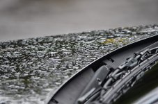 rain-1.jpg