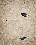 Day203-1.jpg