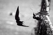 Day203-3.jpg