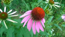 WP_20140719_18_40_36_Pro.jpg