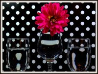 CL Black and Whit Polka Dots with a Pink Zinnia.jpg