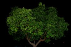 DSC_4542_2.jpg