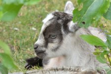 DSC_5824.jpg