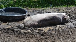 DSC_4179.jpg