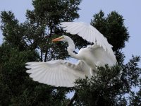 DSCN9641.jpg