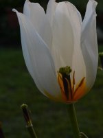 DSC_3701.jpg