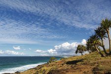 NEW_3664_webshot.jpg