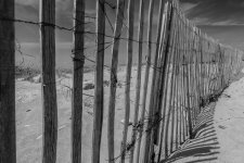 Beach Fence.jpg