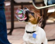 Perfect-Timed-Photos-10-934x.jpg