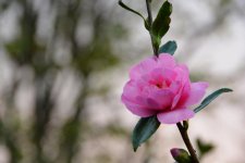 DSC_3364.jpg