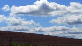 DSCN0828.jpg