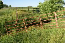 Fence 006.jpg