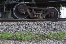 train4.jpg