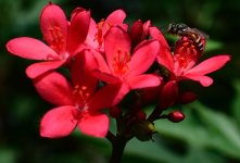 DSC_8687.jpg