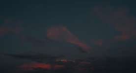 DSC_4594.jpg