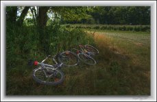 cycling in the country.jpg