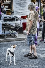 20140726-D71_2140-Edit.jpg