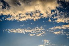 IMG_0214.jpg
